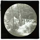 Tivoli Tea Gardens [Lantern Slide] | Margate History